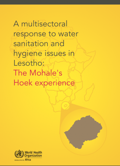 A multisectoral response to water sanitation and hygiene issues in Lesotho: The Mohale's Hoek experience