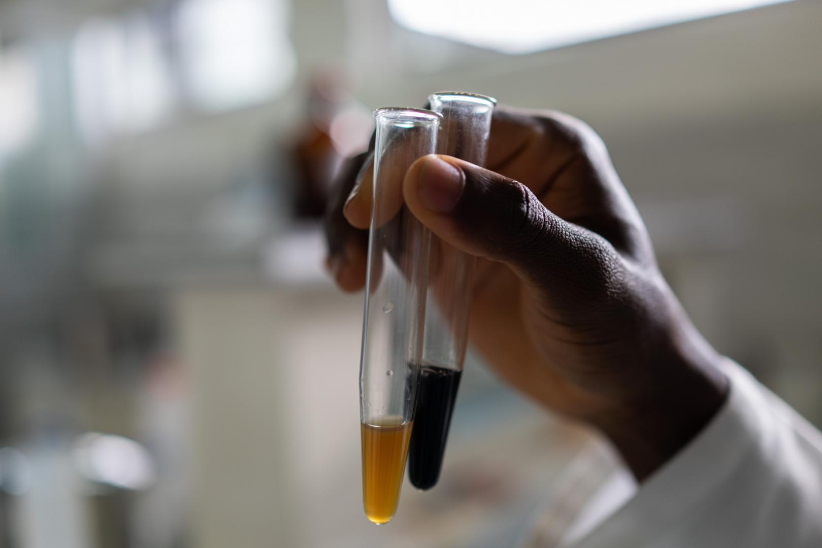 L'OMS et le CDC Afrique unissent leurs efforts pour la recherche sur la médecine traditionnelle de la COVID-19 en Afrique