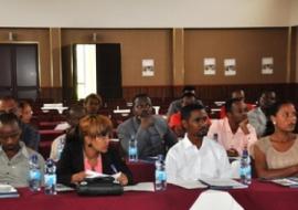 At the media orientation, the media representatives heard about the burden of vector-borne diseases and how they can be controlled and prevented.