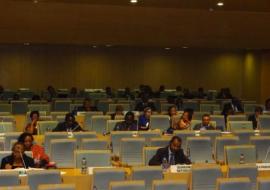 Experts Meeting during the 6th Conference of African Ministers of Health, 22 April 2013