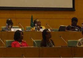 [Above] Chairing the meetings, [Below] Panelists of the African diaspora initiative, AU