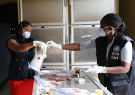 WHO Liberia staff review packaging information for specimens from victims who died after attending a wake and funeral on 21/22 April. These additional specimens were shipped on 12 May for investigations in Europe and Africa.