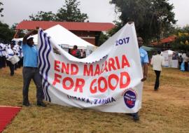 Various organisations joined in the march past to mark World Malaria Day