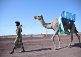 Vaccines being delivered to the most remote areas in Afar region, Ethiopia.
