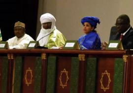Une vue des officiels : de gauche à droite, le Gouverneur de Niamey, le Ministre de la Santé Pubique, La Première Dame, le Représentant de l’OMS