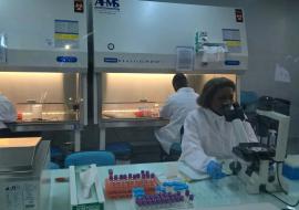 Vue partielle de l’Unité de virologie et de l'immunologie Moléculaires de l'Institut national de recherche biomédicale (INRB) de Kinshasa. OMS/Eugene Kabambi