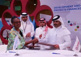 Qatar Fund for Development announces USD 3 million funding for work towards elimination of Neglected Tropical Diseases