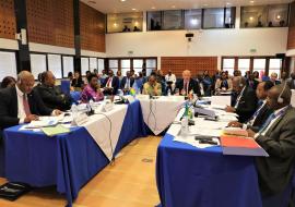 African island nations agree on consolidated medicines procurement