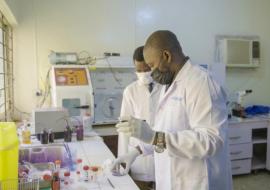 Doctors working on a sample at a laboratory in Obafemi Awolowo University