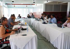 Revisão, atualização e adaptação dos documentos do Programa Nacional de Luta contra o paludismo no âmbito do processo de certificação da eliminação do paludismo em Cabo Verde
