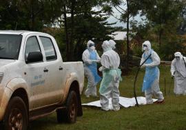 La Tanzanie confirme la première épidémie de maladie à virus Marburg