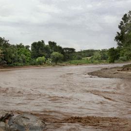 Schistosomiasis
