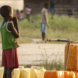 Cholera