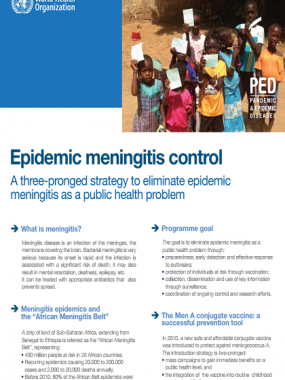 More information about the epidemic meningitis control