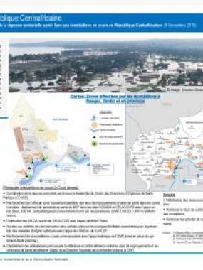 Aperçu de la réponse sectorielle santé face aux inondations en cours en RCA - Aperçu du 9 novembre 2019