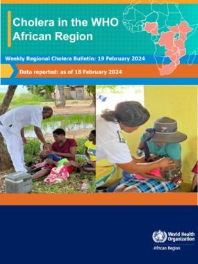 Weekly Regional Cholera Bulletin: 19 February 2024