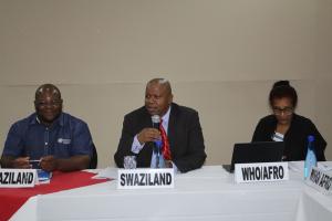 Eswatini National Malaria Programme manager chairing the meeting