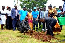 Dr Mwebesa plants a tree to mark World Health Day 