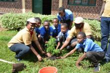 Planting trees in fighting mosquitoes in a secondary school