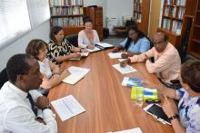Delegation from St Helena Island meeting with WHO Technical Team