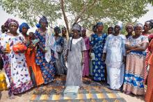 When microfinance leads to major healing: Bridging agriculture and health in Senegal