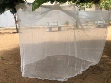 Le Sénégal dans la dynamique d’élimination du paludisme