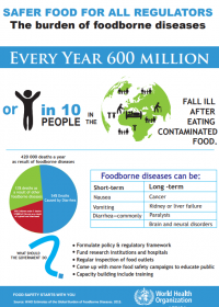 Safer food for all regulators: the burden of foodborne diseases