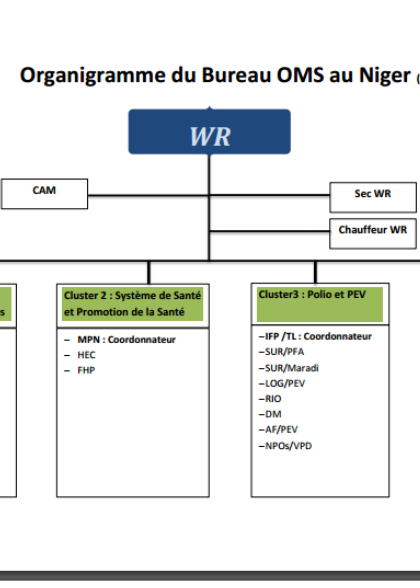 OMS Niger Organogram 