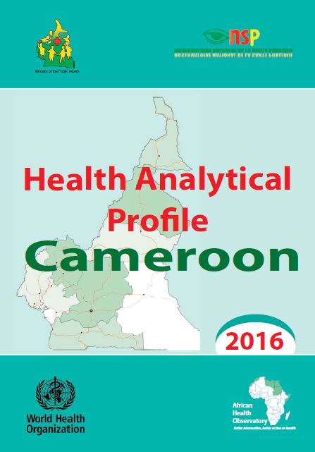Health analytical profile : Cameroon - 2016