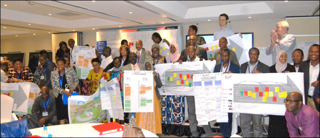 Bringing the human and animal health sectors closer: The National Bridging  Workshop | WHO | Regional Office for Africa