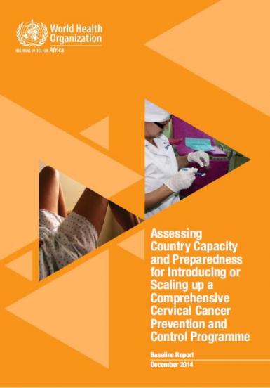 Assessing Country Capacity and Preparedness for Introducing or Scaling up a Comprehensive Cervical Cancer Prevention and Control Programme: Baseline Report