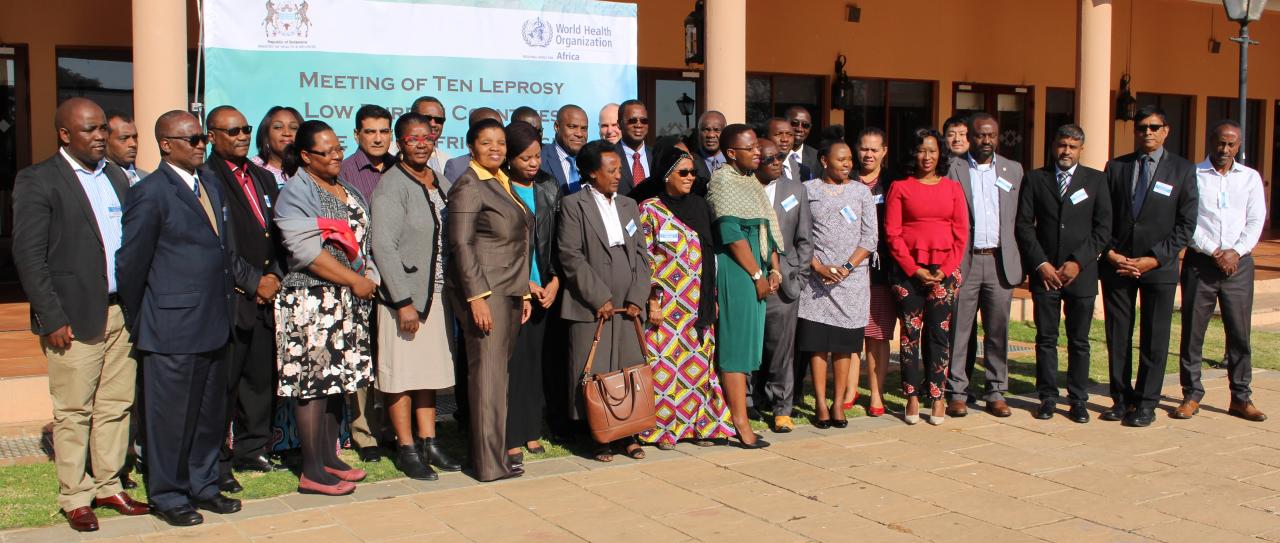 Participants and facilitators at the Leprosy Lower Burden Countries meeting