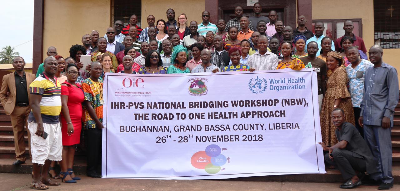 Group photo of participants at the IHR-PVS National Bridging Workshop in Buchanan City, Grand Bassa County