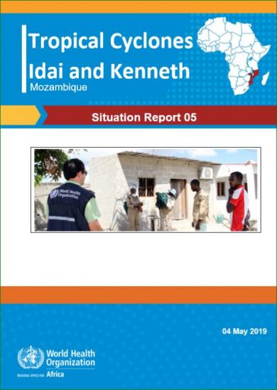 Mozambique Situation Report 5 cover