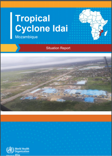 Cyclone Idai Mozambique Situation Report