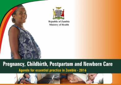 Pregnancy, Childbirth, Postpartum, and Newborn Care. Agenda for essential practice in Zambia