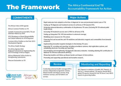 The Africa Continental End TB Accountability Framework for Action