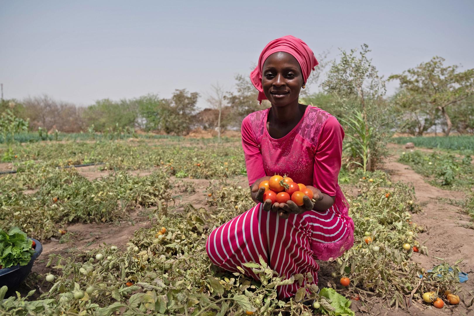 When microfinance leads to major healing: Bridging agriculture and health in Senegal