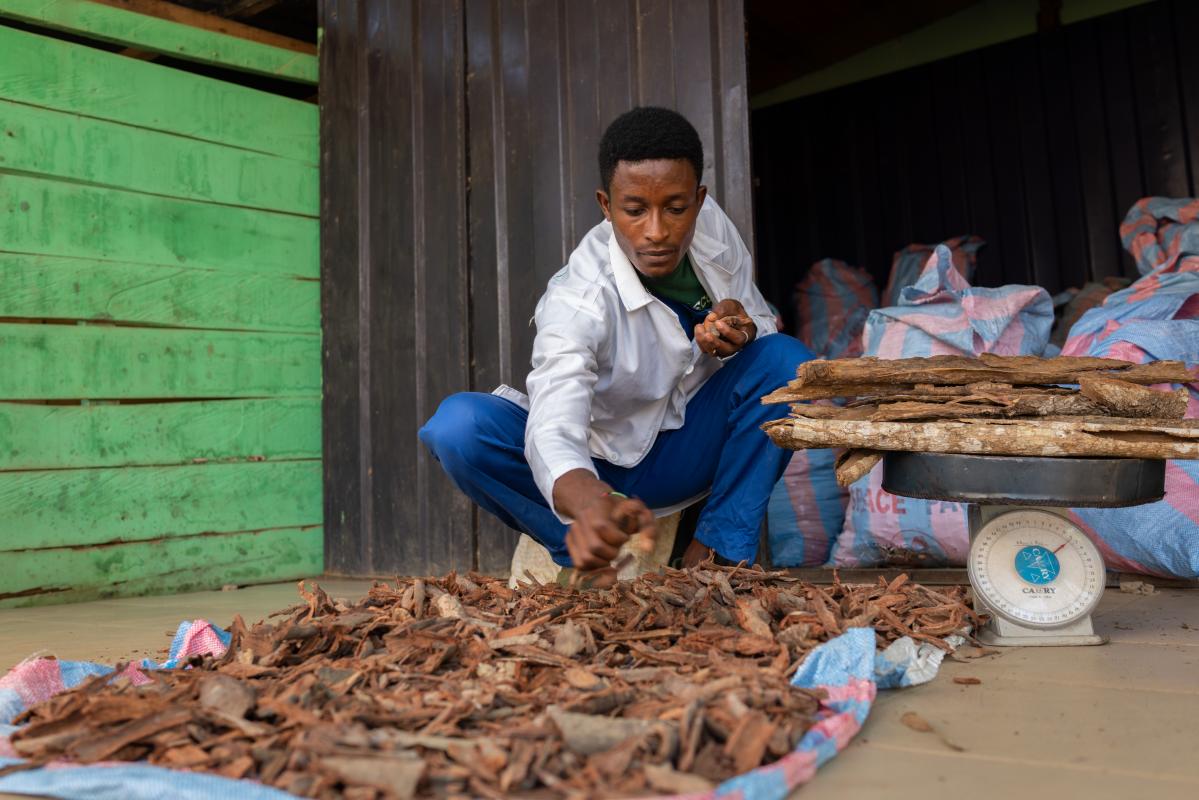 Traditional healers broaden health care in Ghana