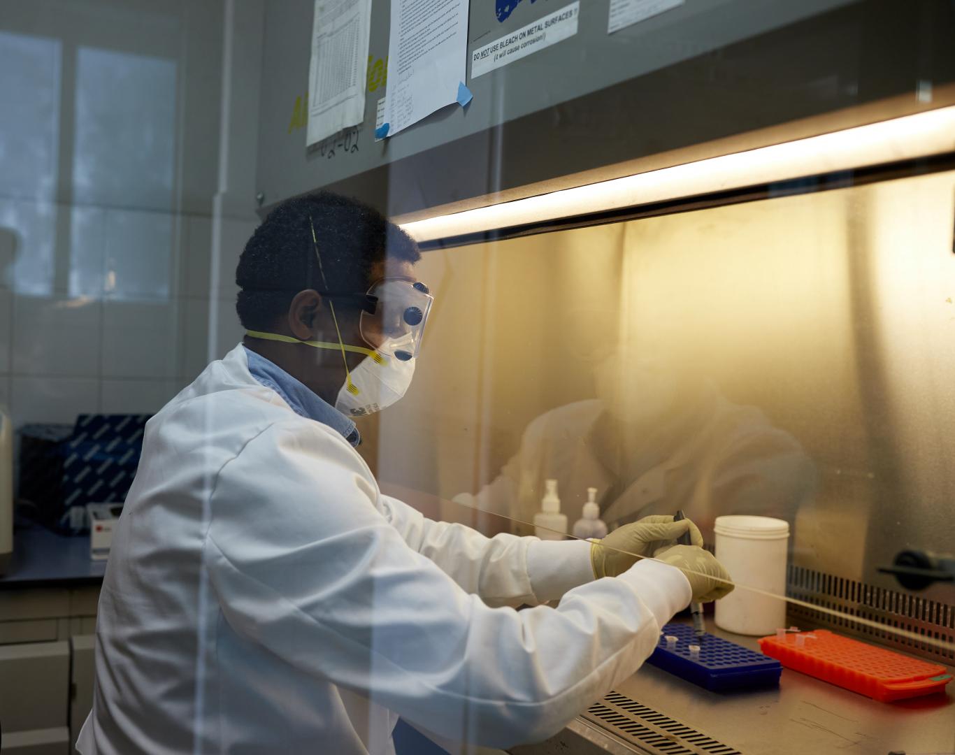 Genome sequencing in Ebola response