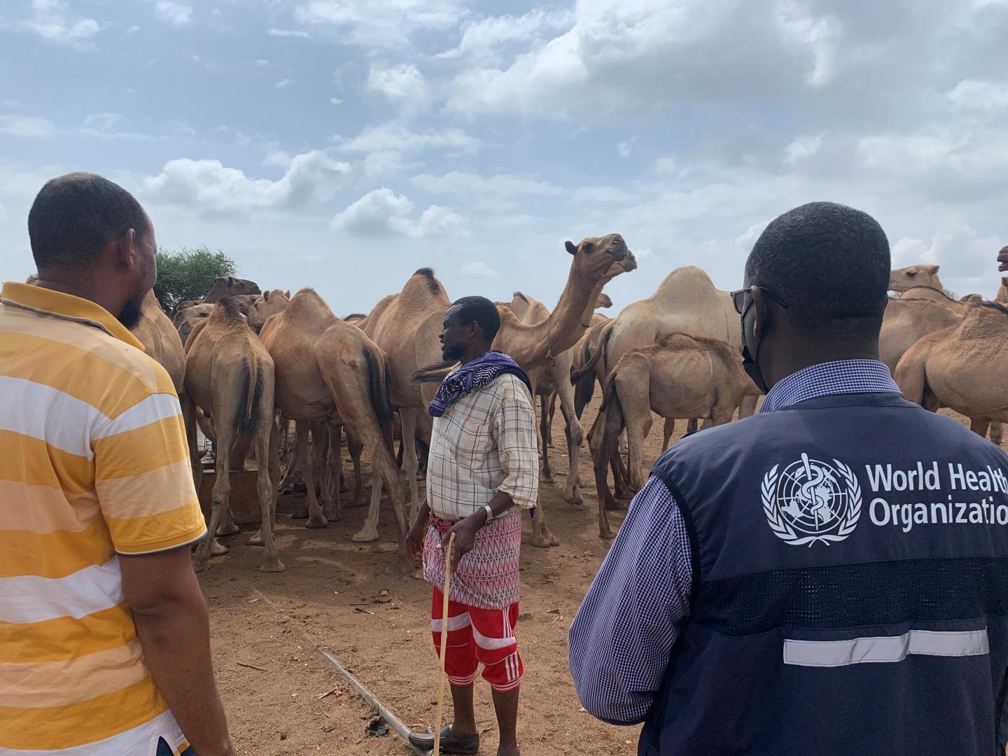 Dr Adam Haji, WHO, and Wajir County team, access nomadic communities for Covid-19  vaccination in north-eastern Kenya recently