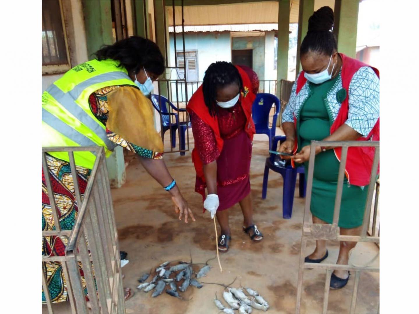 Vector control in Edo state