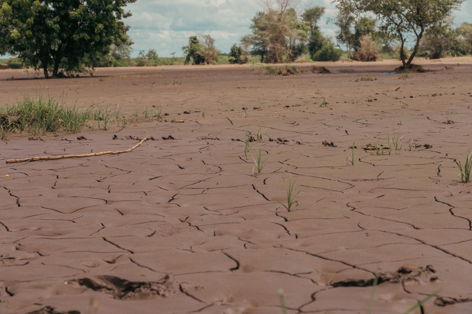 Flooded farmland 