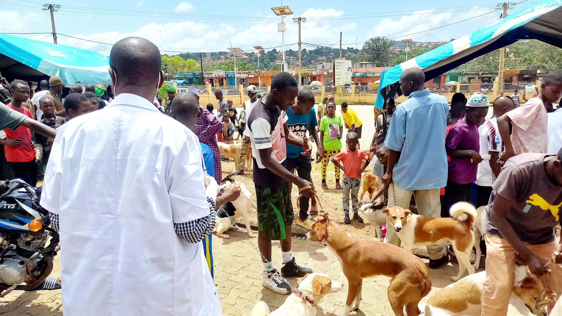 Guinée-Agents vétérinaires et propriétaires de chiens mobilisés