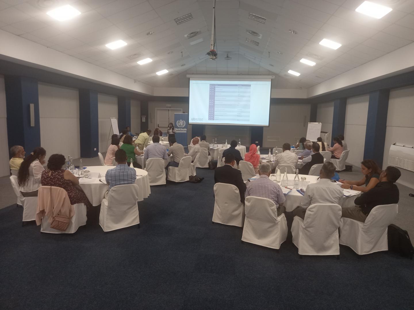 National public health risk profiling workshop using the Strategic Toolkit for Assessing Risks (STAR) in February 2023 in Mauritius