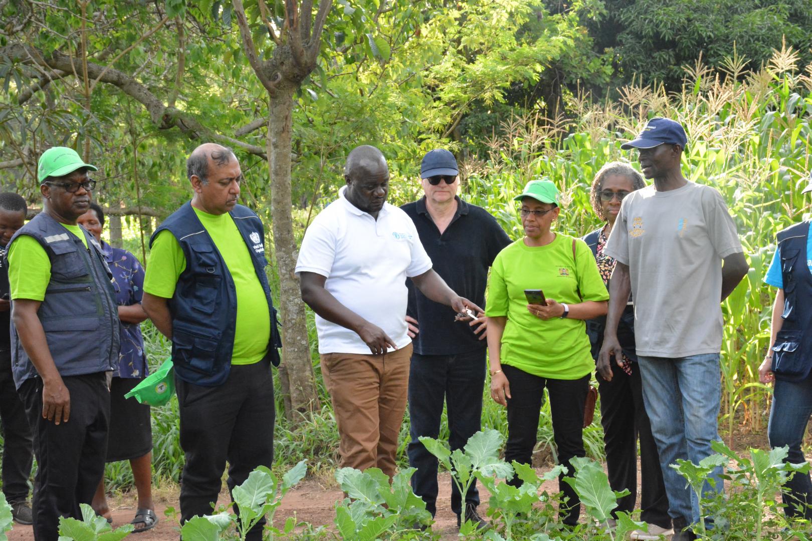 Tony Kidiga, focal point for Tobacco Free Farms, Ministry of agriculture, speaks about good practices to WHO visiting team at a farmer's in Migori County