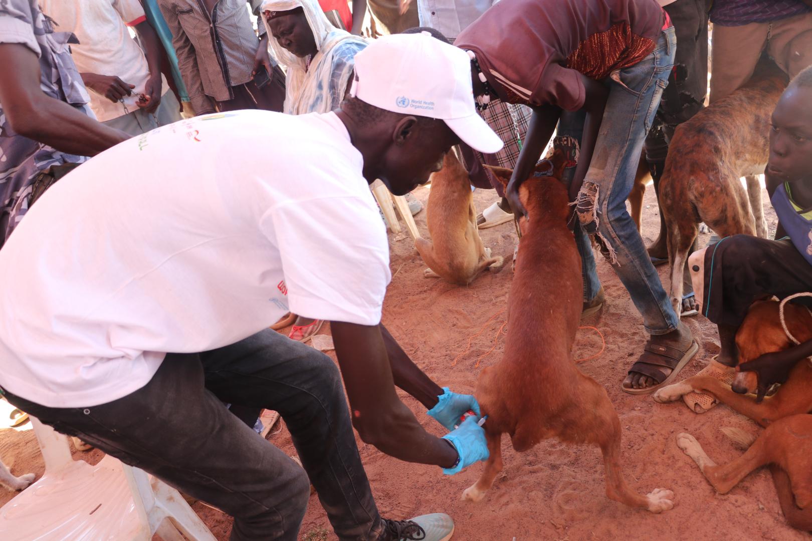 Rabies is a vaccine-preventable, zoonotic viral disease