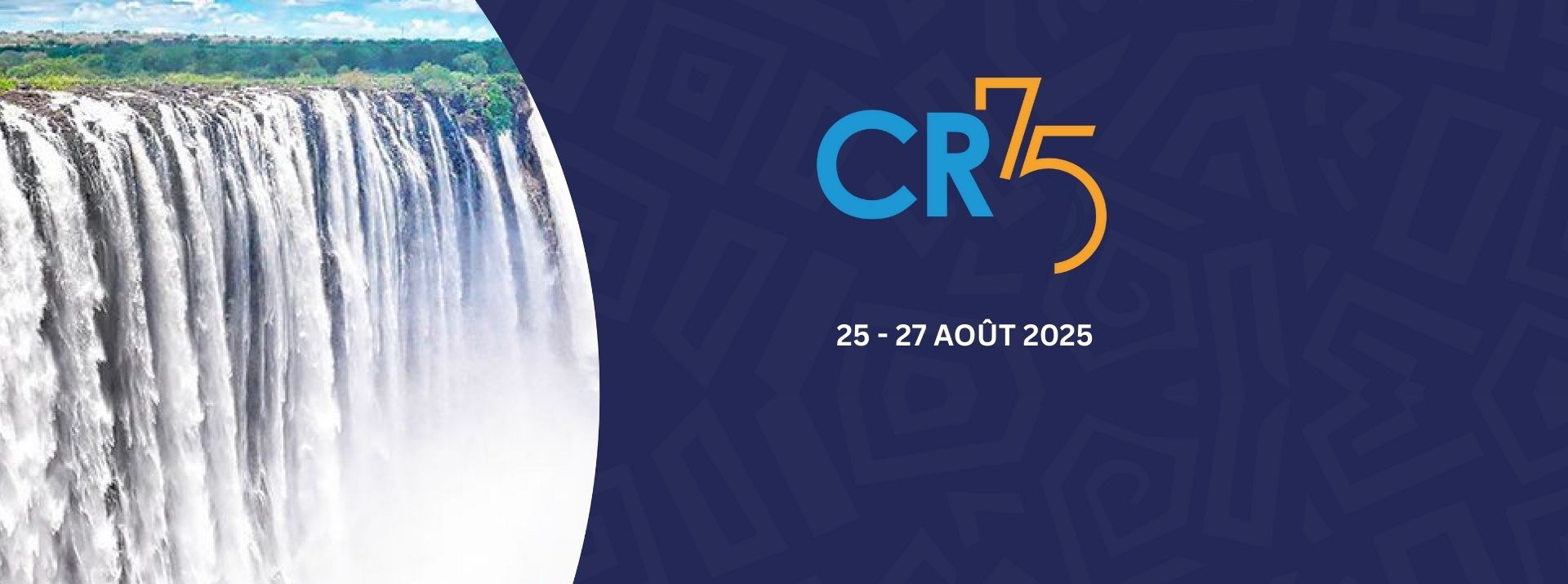 Soixante-quinzième session du Comité régional de l’OMS pour l’Afrique