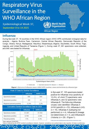 Week 37, September 8 to 14 2025