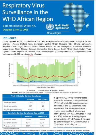 Week 42, October 13 to 19 2025